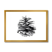 Conifer Cone Monochrome Wall Art