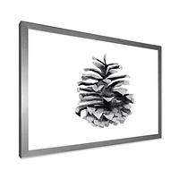 Conifer Cone Monochrome Wall Art