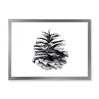 Conifer Cone Monochrome Wall Art