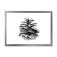 Conifer Cone Monochrome Wall Art