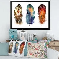 Colourful Boho Feather Set IX  Wall Art