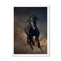 Portrait of Thoroughbred Nonius Stallion Horse I  Wall Art