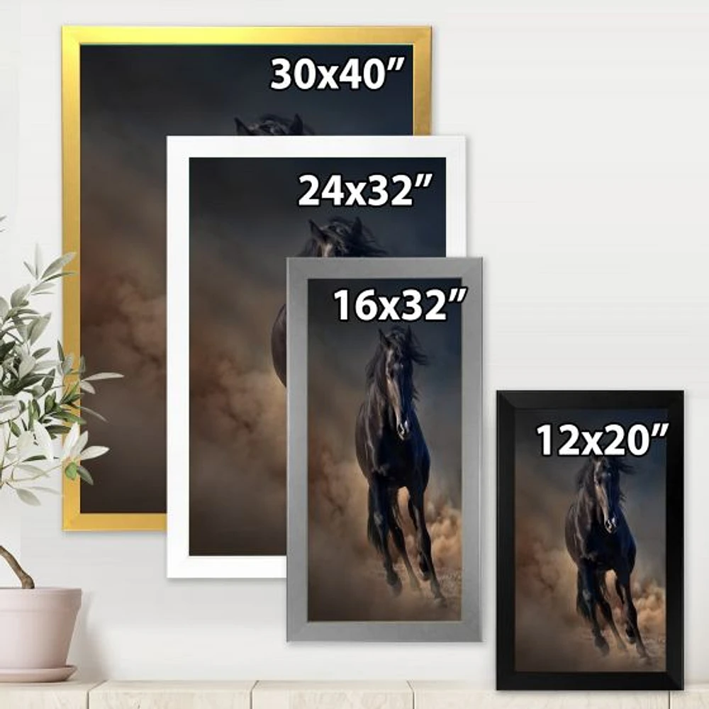Portrait of Thoroughbred Nonius Stallion Horse I  Wall Art