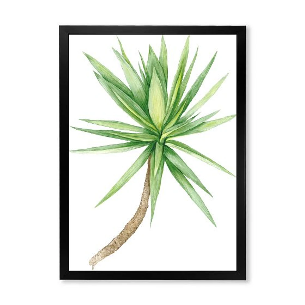 Detail of Yucca Tree  Canvas Wall Art Print