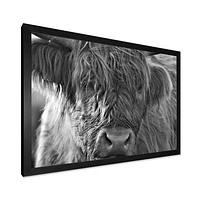 Toile imprimée « Scottish Highland Cows Living on Moorland »