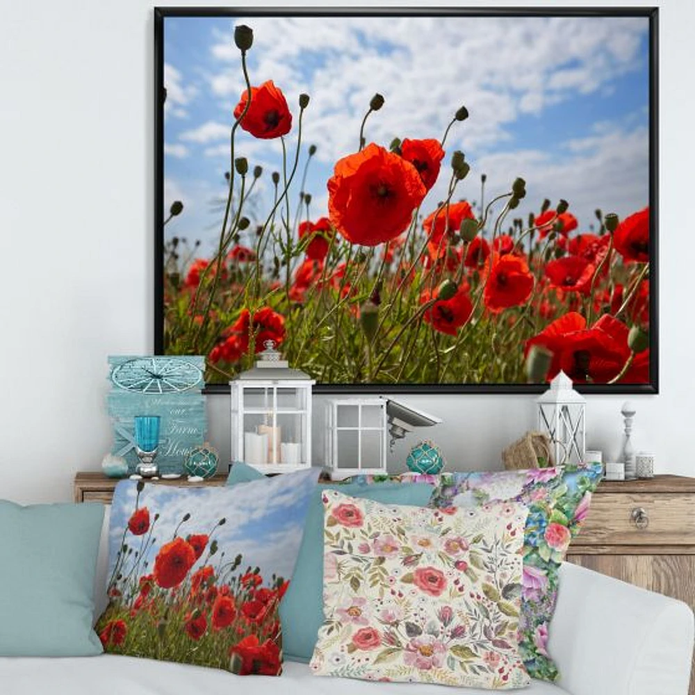 Bright Red Poppy Flowers Photo Artwork on Canvas