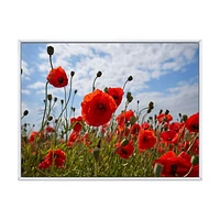 Bright Red Poppy Flowers Photo Artwork on Canvas