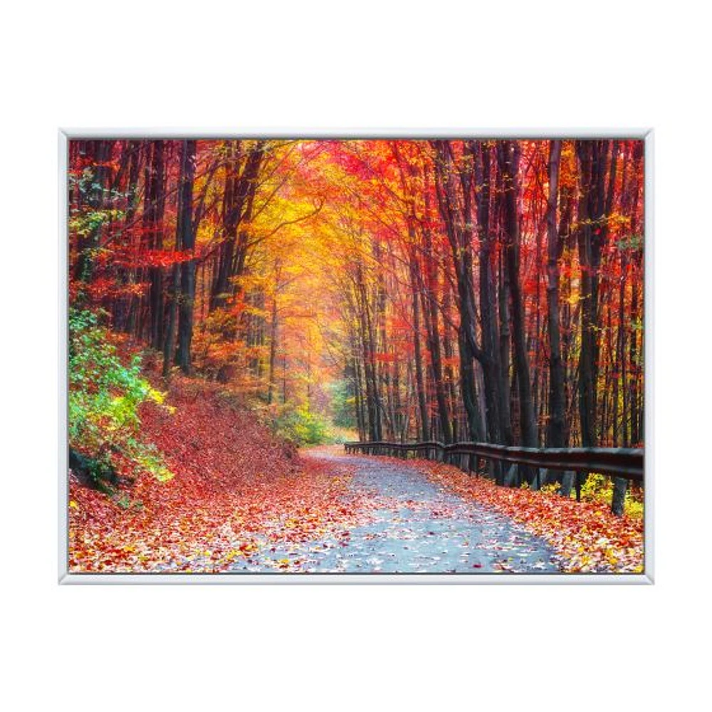 Road Beautiful Autumn Forest  Canvas Art