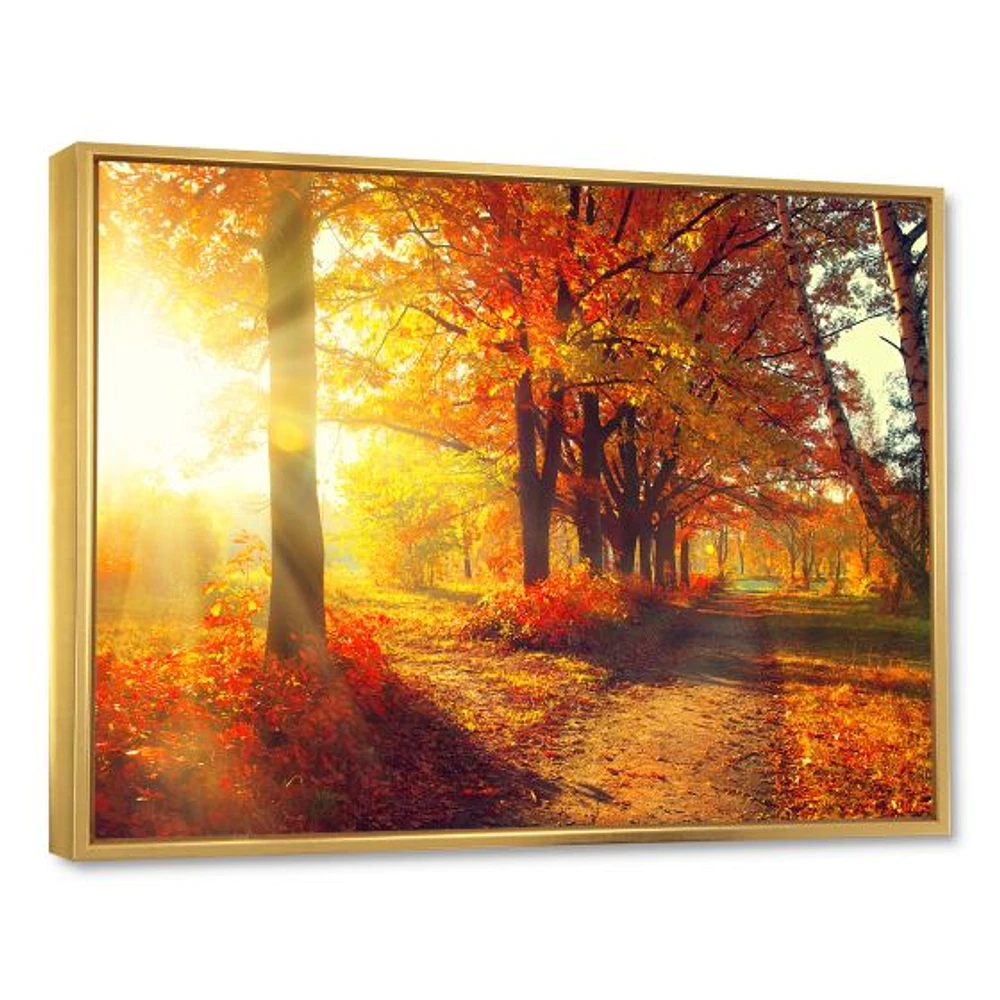 Toile « Autumnal Trees Sunrays »