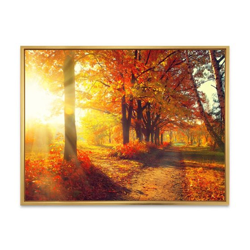 Toile « Autumnal Trees Sunrays »