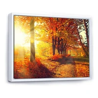 Toile « Autumnal Trees Sunrays »