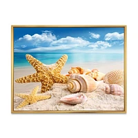 Starfish and Seashells on Beach Canvas Wall Art Print