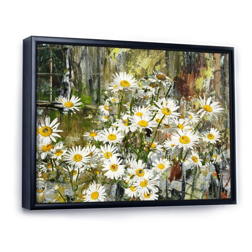 Daisies Flowers Under the Window  Wall Art