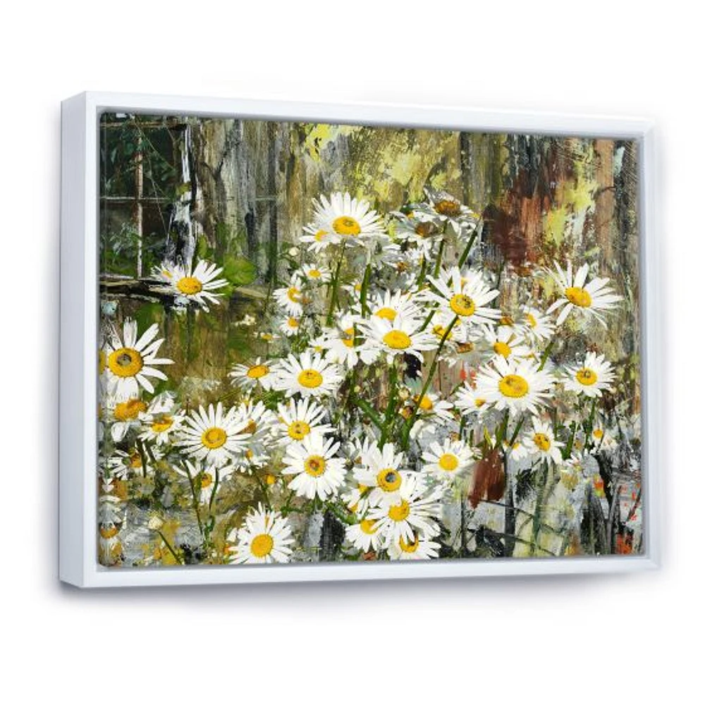 Daisies Flowers Under the Window  Wall Art
