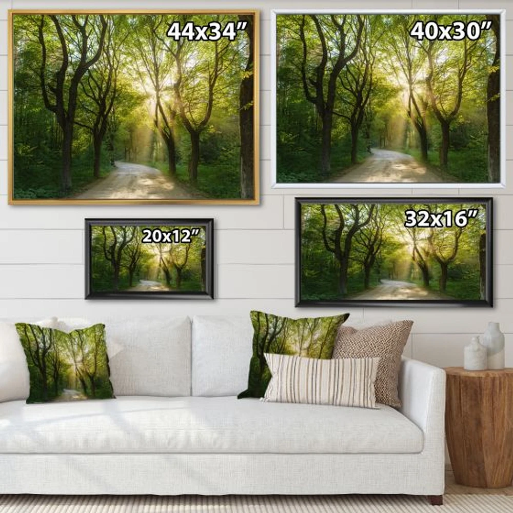 Evening Green Forest  Canvas Art Print