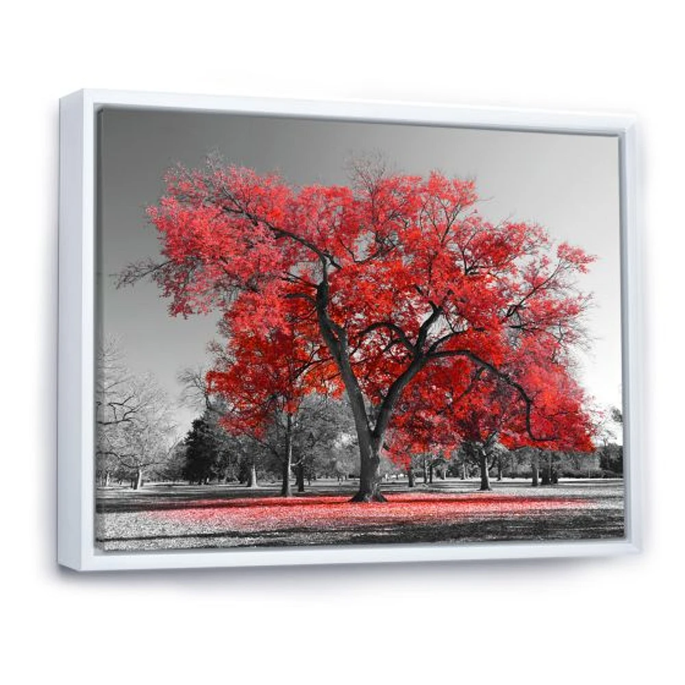 Big Red Tree on Foggy Day  Canvas Art Print
