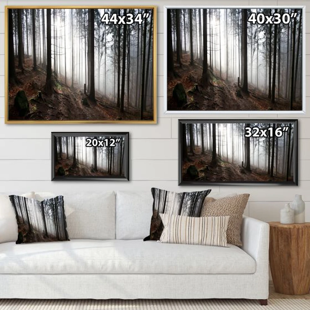 Misty Forest Morning Panorama  Wall Art