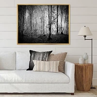 Beautiful Forest Morning Panorama  Canvas Art Print