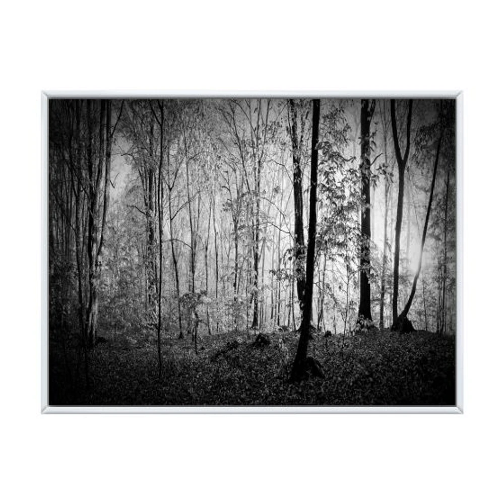 Beautiful Forest Morning Panorama  Canvas Art Print