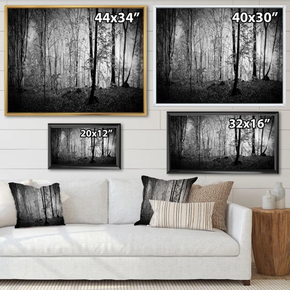 Beautiful Forest Morning Panorama  Canvas Art Print