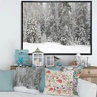 Foggy Winter Forest Panorama  Wall Art