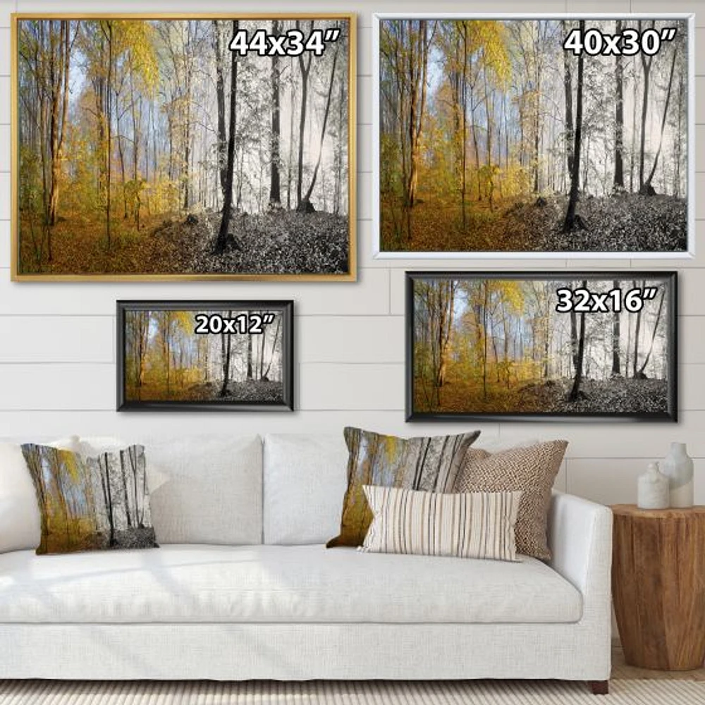 Morning Forest Panorama Canvas Art Print