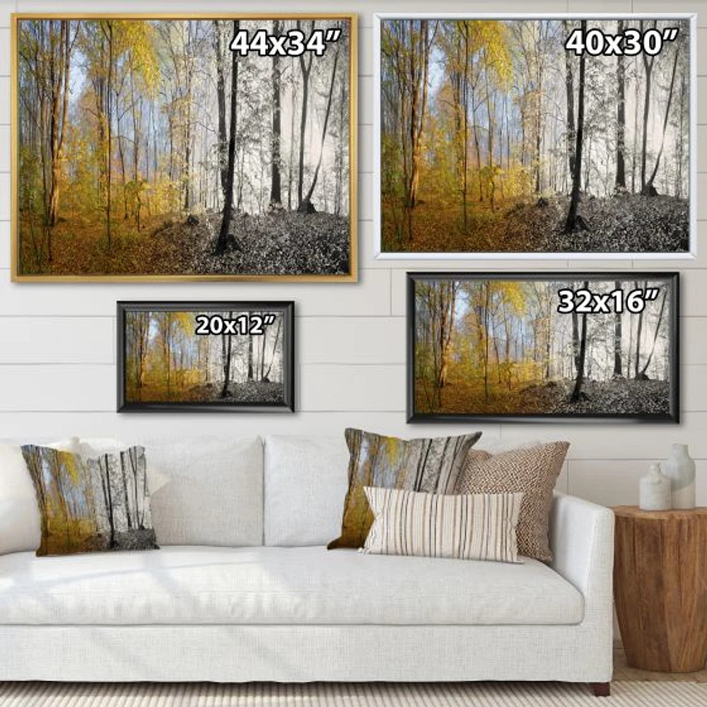 Morning Forest Panorama Canvas Art Print
