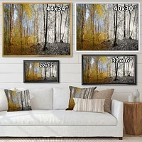 Morning Forest Panorama Canvas Art Print