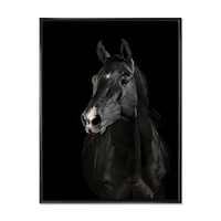 Black Horse darkness  Canvas