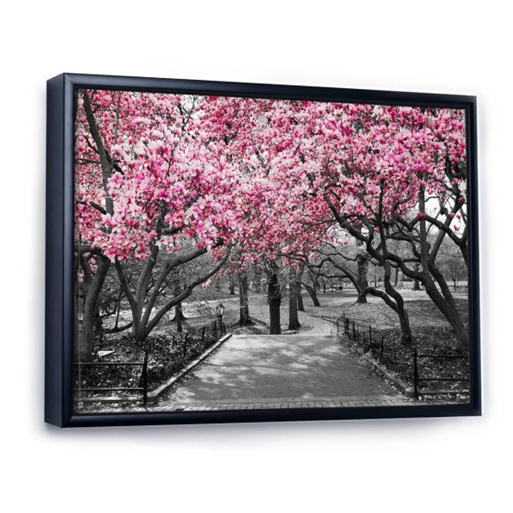 Cherry Blossoms Canvas Wall Art