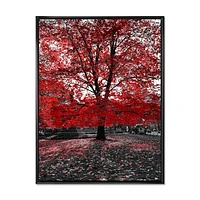 Red Tree Central Park  Wall Art