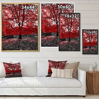 Red Tree Central Park  Wall Art
