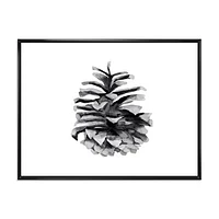 Conifer Cone Monochrome Wall Art