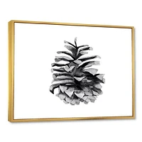 Conifer Cone Monochrome Wall Art