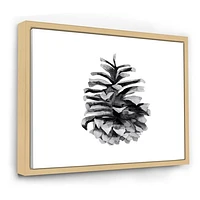 Conifer Cone Monochrome Wall Art