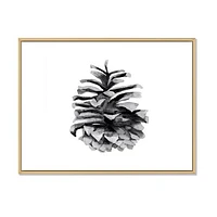 Conifer Cone Monochrome Wall Art