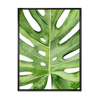 Green Monstera Leaf Tropical Palm Botanical Detail  Wall Art
