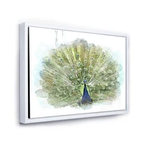 Toile « Peacock Bird »