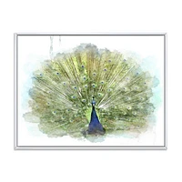 Toile « Peacock Bird »