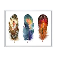 Colourful Boho Feather Set IX  Wall Art