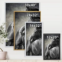 Portrait of A Black Horse  Canvas Wall Art Print