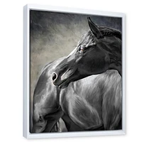Portrait of A Black Horse  Canvas Wall Art Print
