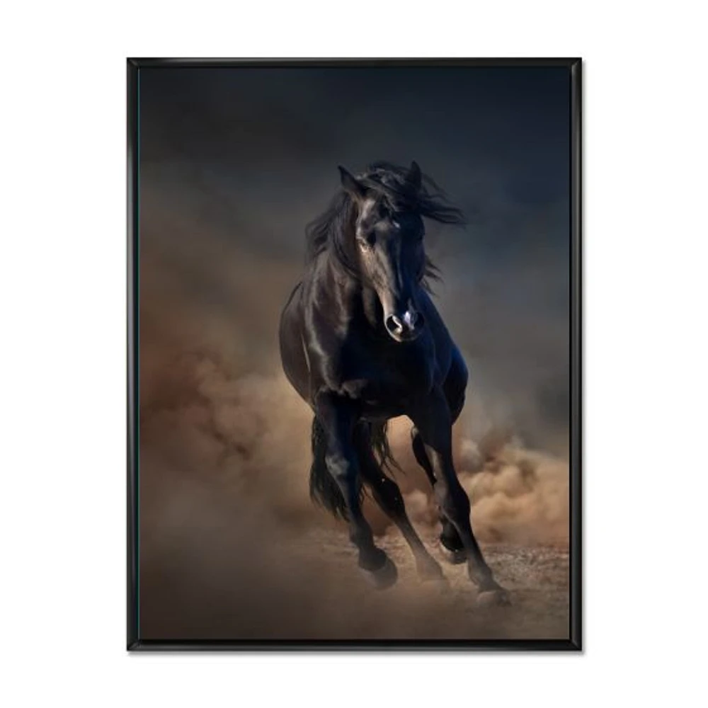 Portrait of Thoroughbred Nonius Stallion Horse I  Wall Art