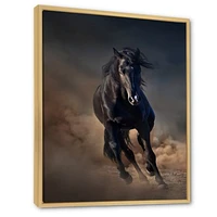 Portrait of Thoroughbred Nonius Stallion Horse I  Wall Art