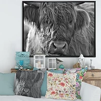 Toile imprimée « Scottish Highland Cows Living on Moorland »