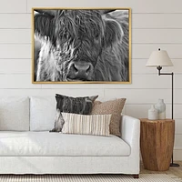 Toile imprimée « Scottish Highland Cows Living on Moorland »