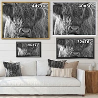 Toile imprimée « Scottish Highland Cows Living on Moorland »