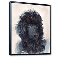 Portrait of The Black Poodle Puppy with Curly Coat  Canvas Wall Art Print