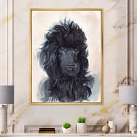 Portrait of The Black Poodle Puppy with Curly Coat  Canvas Wall Art Print