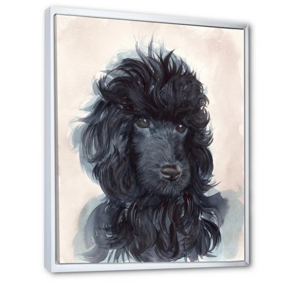 Portrait of The Black Poodle Puppy with Curly Coat  Canvas Wall Art Print
